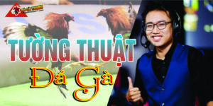 Tường thuật đá gà