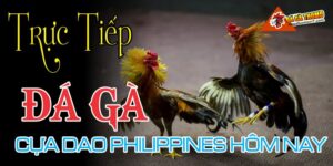 Trực tiếp đá gà cựa dao Philippines hôm nay