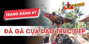 Trang đăng ký đá gà cựa dao trực tiếp